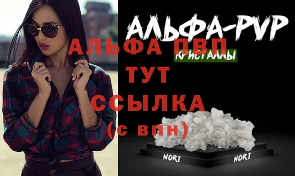 спиды Аркадак