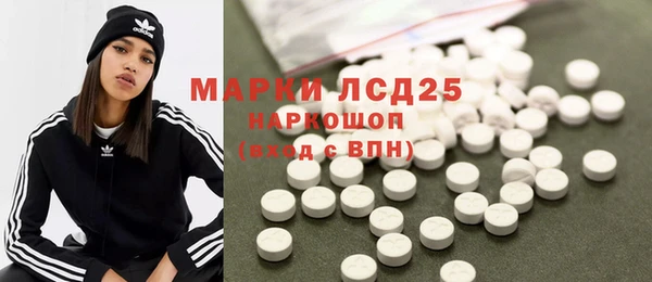 спиды Аркадак