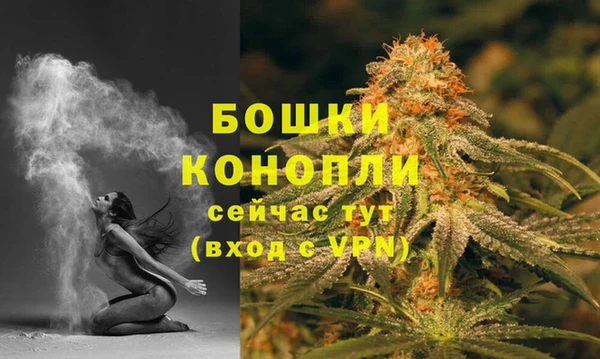спиды Аркадак