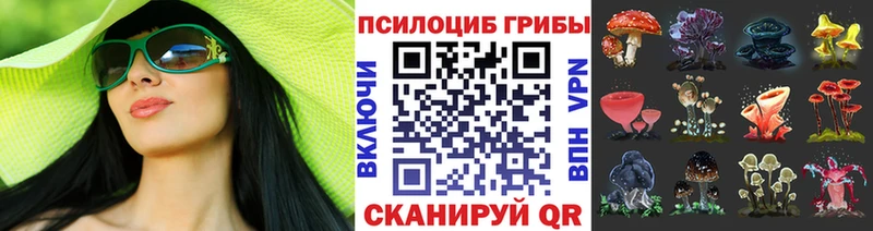 Купить  Бодайбо  Псилоцибиновые грибы мицелий 